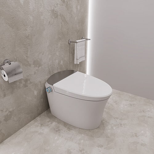 ZN2104 Intelligent Toilet