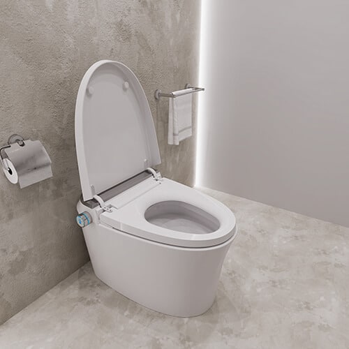 Seat Pad Heating Warm Water Washing Smart Water Purification Intelligent Toilet