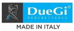 DueGi Logo 