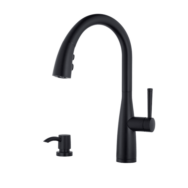  Pfister Raya Black Single Handle Pull-down Kitchen Faucet with Sprayer Function