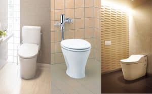 image of Western toilet type