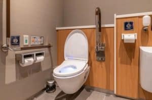 multifunctional toilet type