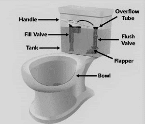 Smart toilet