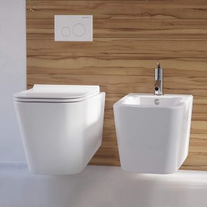wall-hung toilet type