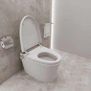 Smart Toilet