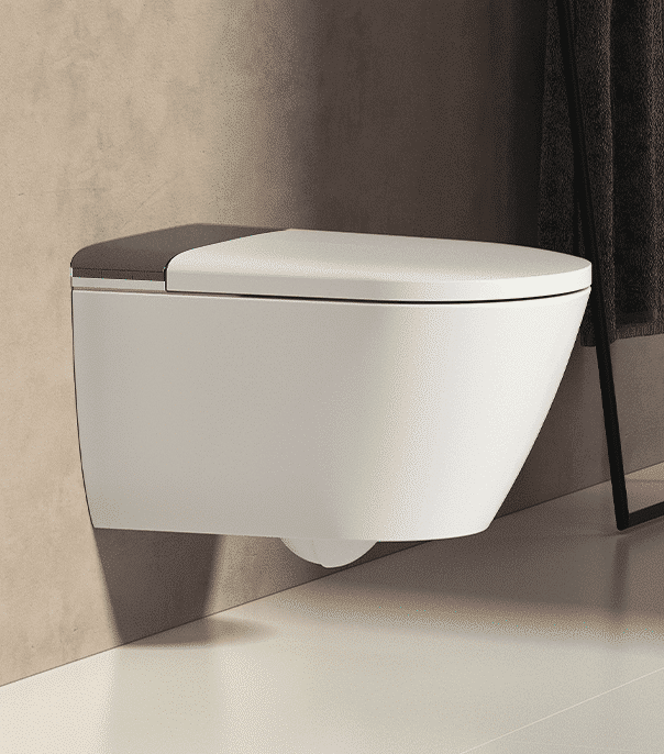 H111A-intelligent-toilet-img01