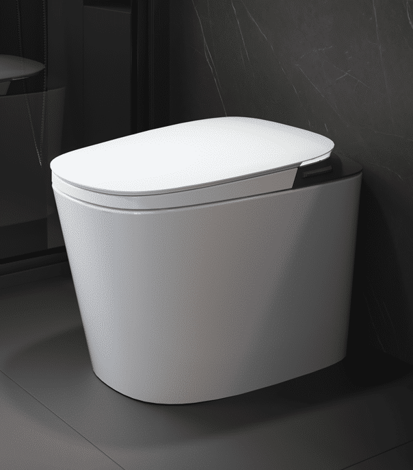 Q101-intelligent-toilet-img01
