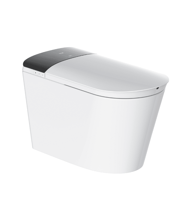 U111A-intelligent-toilet-img02